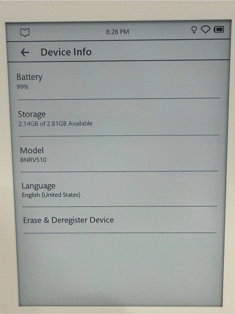 Nook eBook Reader in Metallic Champagne